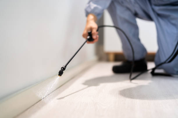 Bed Bug Pre-Treatment Preparation Assessment in Frederick
