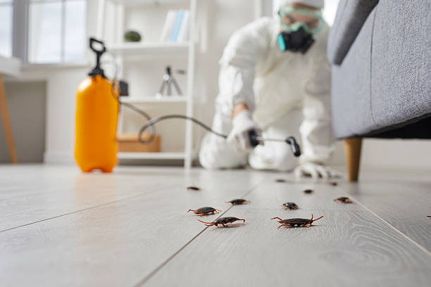 Post-Treatment Bed Bug Interceptor Monitoring in Frederick